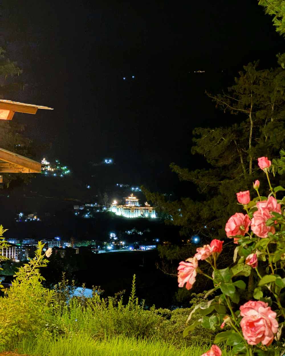 Fully insulated Furnished apartments in Thimphu
